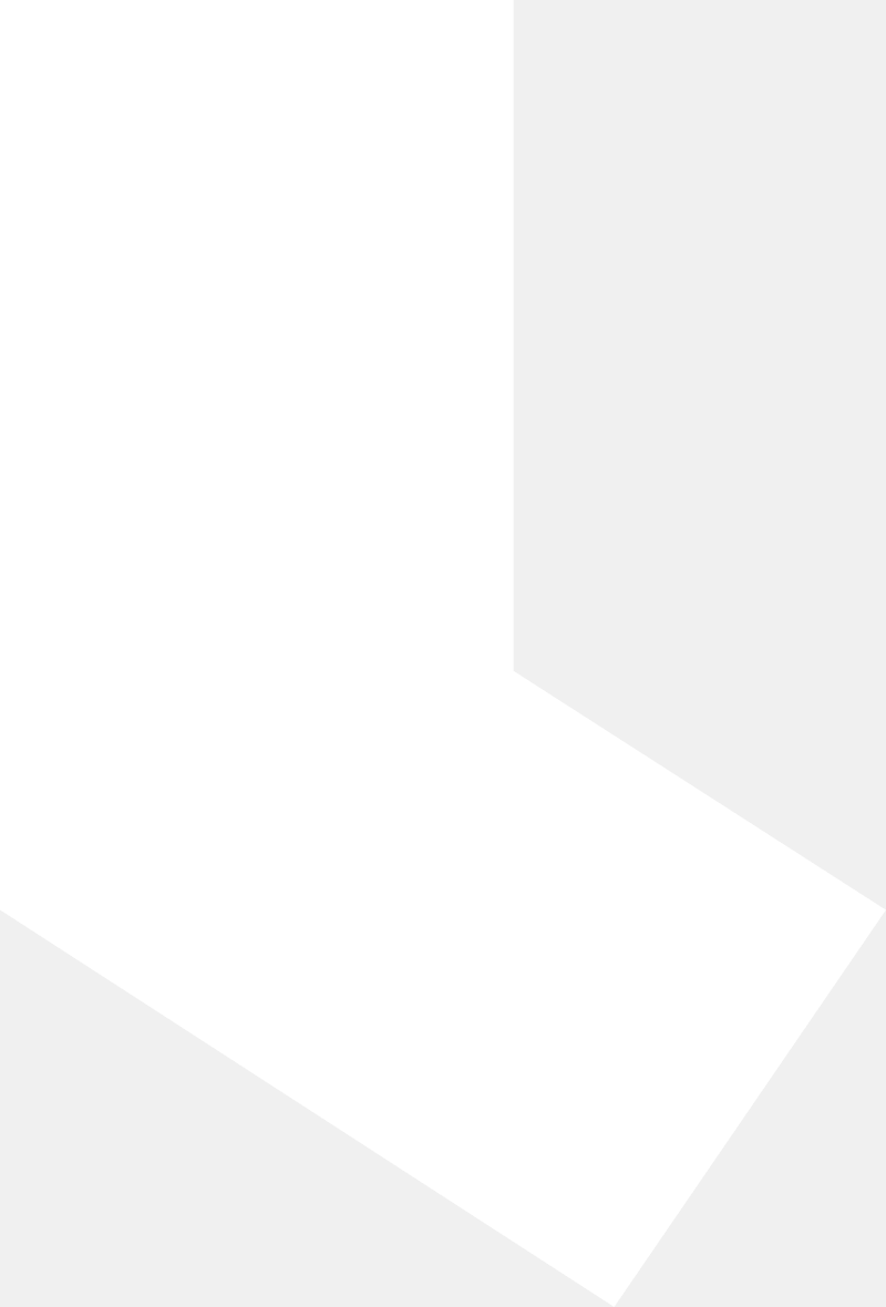 koala-ge865e2c6b_1920